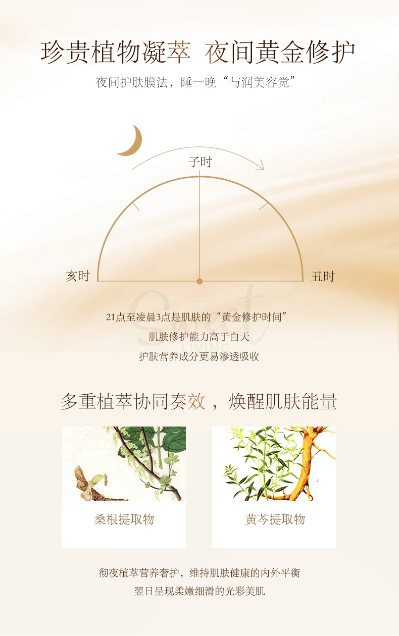 【韩国 Sulwhasoo】雪花秀  与润夜间修护面膜 免洗滋养 提亮肤色  睡眠面膜 120ml -  - 6@ - Sweet Living