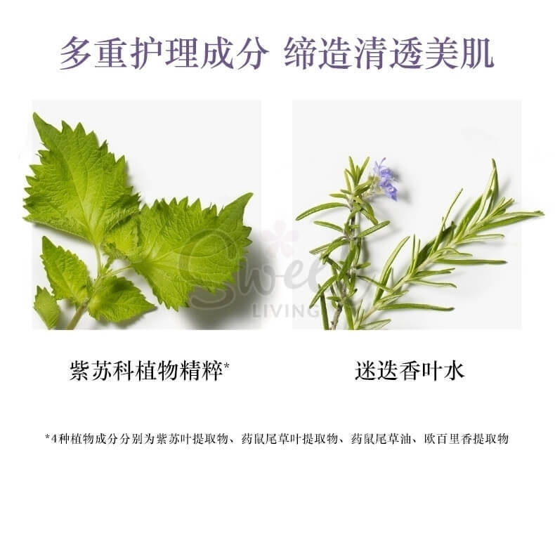 【日本 Decorte】黛珂紫苏水/黛珂牛油果乳液 保湿闭口肌肤维稳化妆水 乳液 日本本土版 -  - 2@@11 - Sweet Living