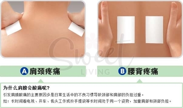 【日本 久光制药】 Hisamitsu 撒隆巴斯/塞隆巴斯 Salonpas 止痛膏药镇痛贴 140枚 -  - 5@ - Sweet Living