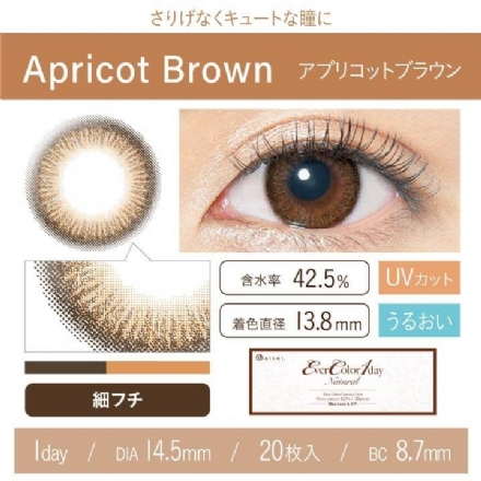 【日本 EverColor】美瞳 彩色隐形眼镜 Apricot Brown 甜美杏棕色 日抛20片 -  - 6    - Sweet Living