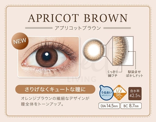 【日本 EverColor】美瞳 彩色隐形眼镜 Apricot Brown 甜美杏棕色 日抛20片 -  - 9@ - Sweet Living