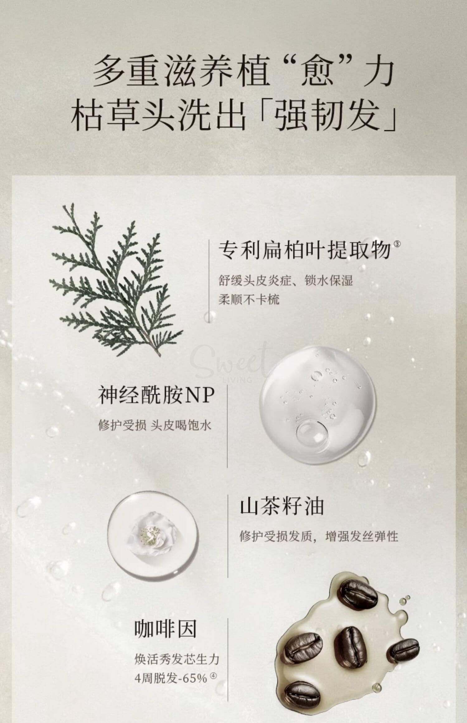 【韩国 Longtake】爱茉莉旗下 高端香氛品牌 洗发水限量套组 300ml+100ml -  - 5@ - Sweet Living