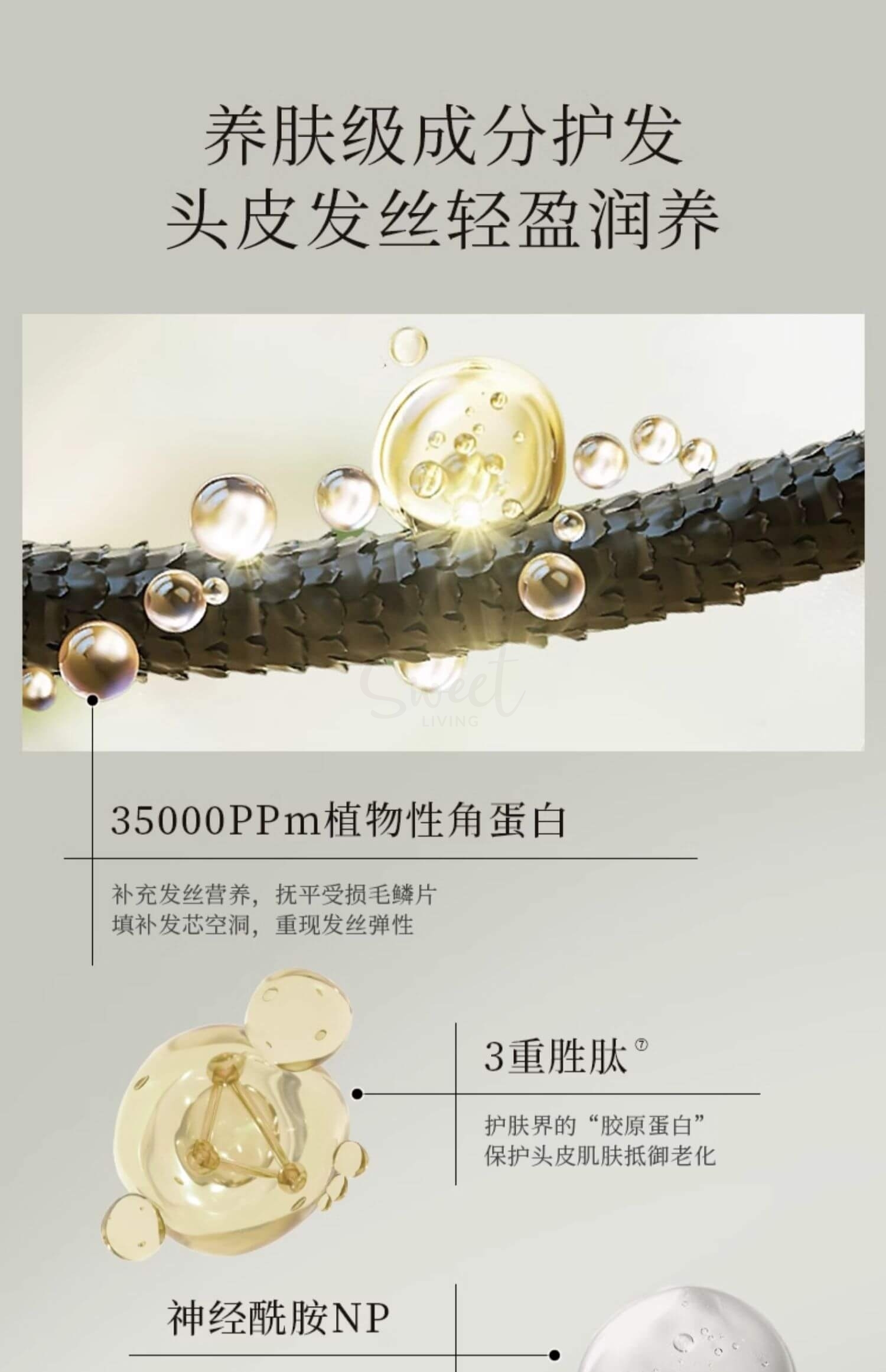 【韩国 Longtake】爱茉莉旗下 高端香氛品牌 洗发水限量套组 300ml+100ml -  - 13@ - Sweet Living