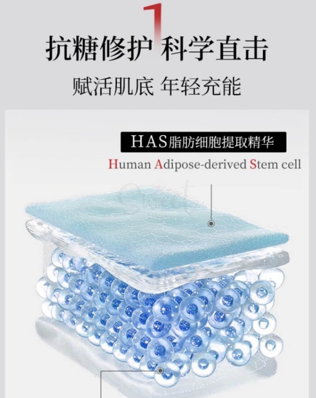 【日本】SPA TREATMENT 蛇毒眼膜 新版  HAS干细胞保湿眼膜 60片入 -  - 6@ - Sweet Living