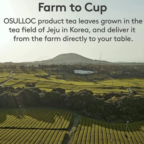 【韩国 Osulloc】香醇即溶奶茶系列 20g x 10条/盒   抹茶奶茶/伯爵奶茶/原味奶茶 -  - 9@ - Sweet Living