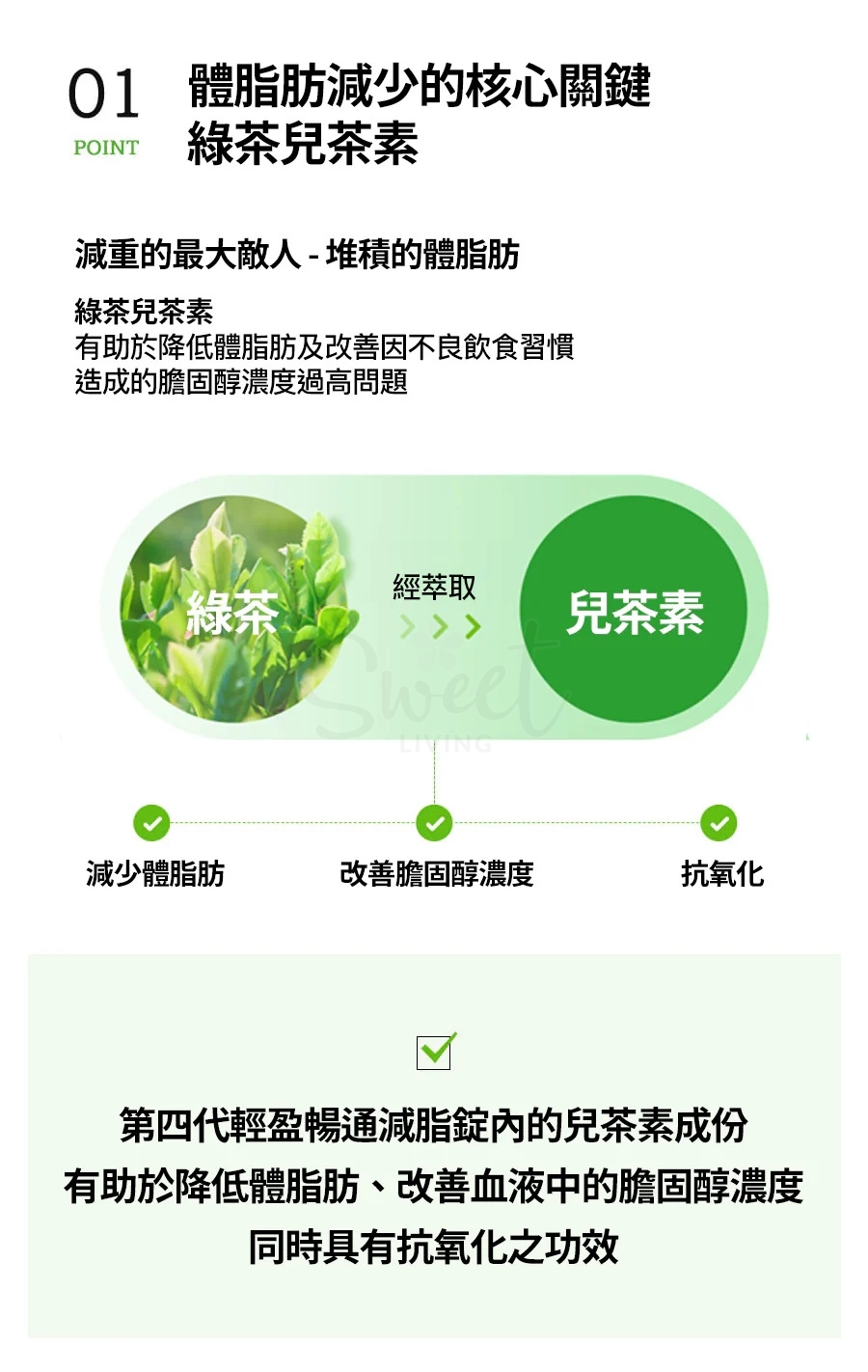 【韩国 GRN】轻体胶囊酵素减脂套装 小粉小绿套组 小粉均衡瘦身&生物素片 + 小绿均衡瘦身&通便片  贝利熊联名限定款 均衡瘦身  35天量 -  - 6@ - Sweet Living