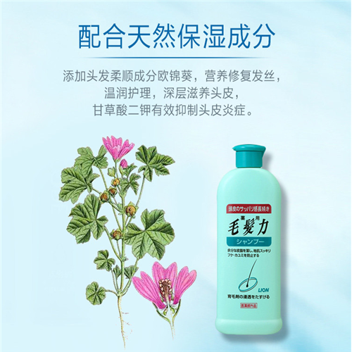 【日本】狮王 Lion 毛发力 双重修复 去屑控油 防护防脱发 洗发水 200mL -  - 3@ - Sweet Living
