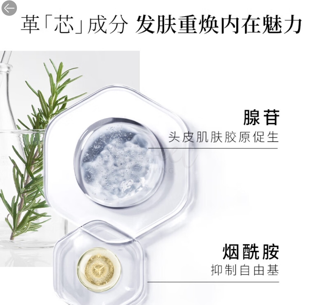 【日本】SHISEIDO资 生堂 SUBLIMIC  芯护理道 头皮 生机洗发露 蓬松生发洗发水 500ml - @ - 2 - Sweet Living